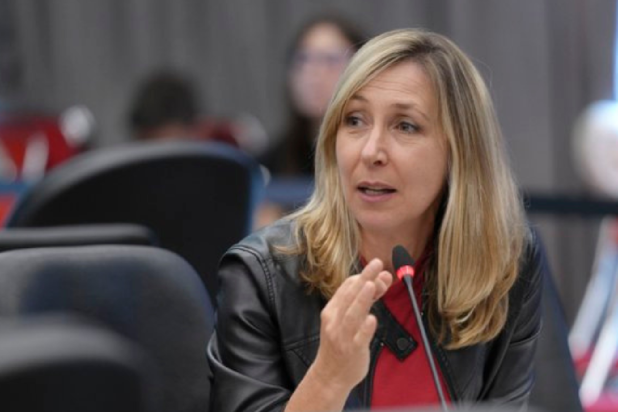 Myriam Bregman, una voz firme para ponerle un freno a Milei en el Congreso 