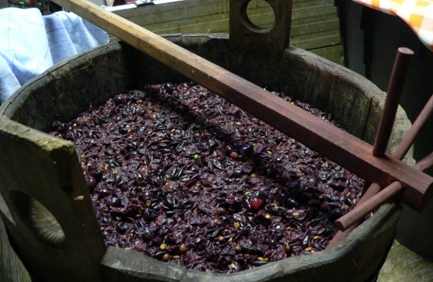 Juicio millonario sacude la vitivinicultura de Cuyo y genera debate&nbsp;regional