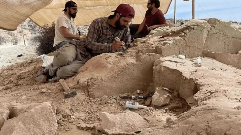 Paleontólogos del CONICET lideran expedición inédita en la Patagonia: buscan dinosaurios en vivo